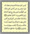 وجعلنا له نورا يمشي به
